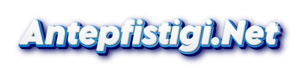 Antepfistigi.Net logo