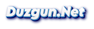 Duzgun.Net logo